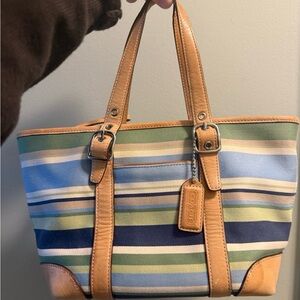 Coach Hampton Small Y2K Striped Bag